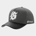 Insignia Leather/Suede Hat (Smoke/Black)